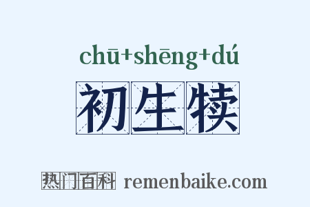 初生犊是什么意思的图片